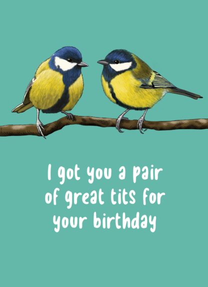 I got you great tits for your birthday funny Greeting Card